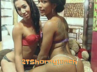 2TShorny11inch
