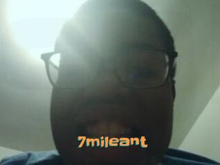 7mileant
