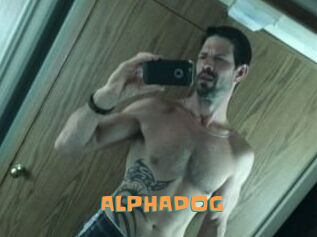 ALPHADOG