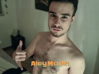 AleyModel