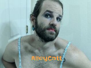 AlleyCatt
