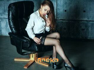 Aneka