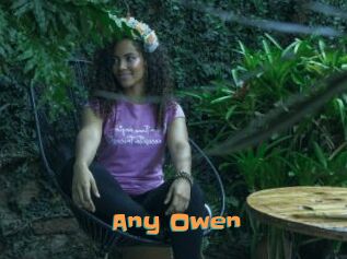 Any_Owen