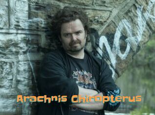 Arachnis_Chiropterus