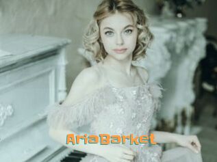 AriaBarket
