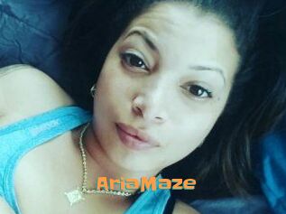Aria_Maze