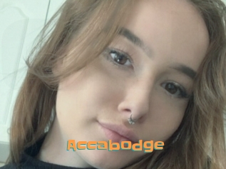 Accabodge