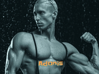 Adonis_