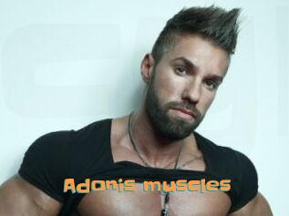 Adonis_muscles