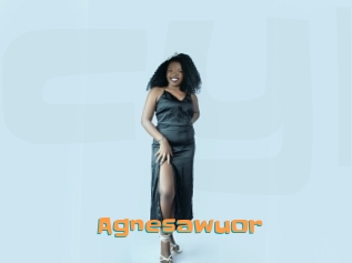 Agnesawuor
