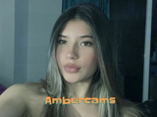 Ambercams