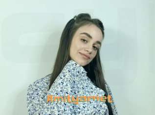Amityarnet