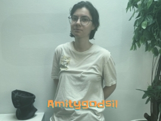Amitygodsil