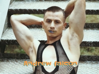 Andrew_falcon