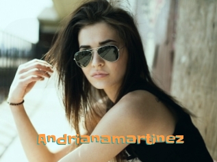 Andrianamartinez