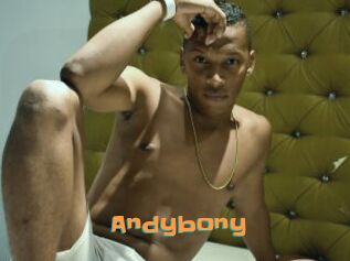 Andybony