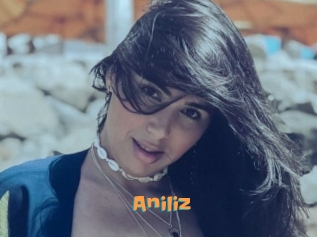 Aniliz
