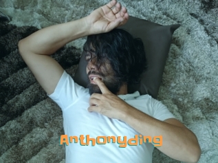 Anthonyding