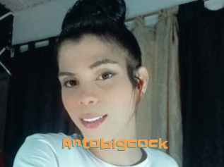 Antobigcock