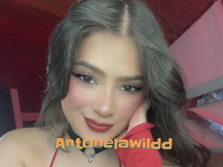 Antonelawildd