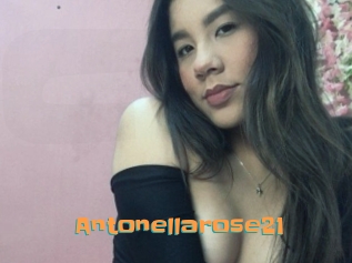 Antonellarose21