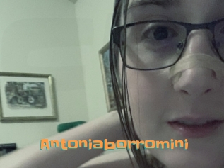 Antoniaborromini