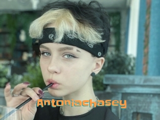 Antoniachasey