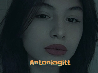 Antoniagitt