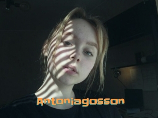 Antoniagosson