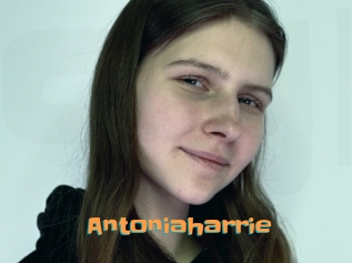 Antoniaharrie