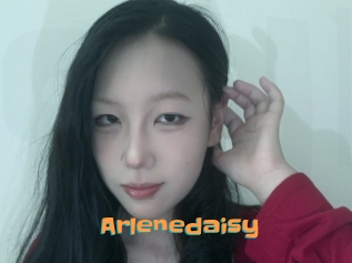 Arlenedaisy
