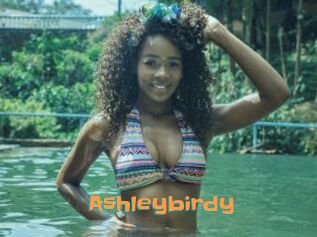 Ashleybirdy
