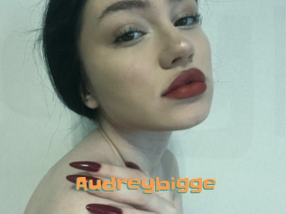 Audreybigge