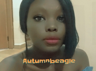 Autumnbeagle