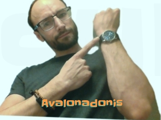 Avalonadonis