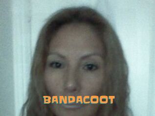 BANDACOOT