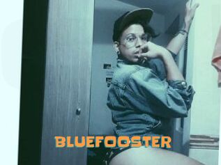 BLUEFOOSTER
