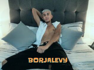 BORJALEVY