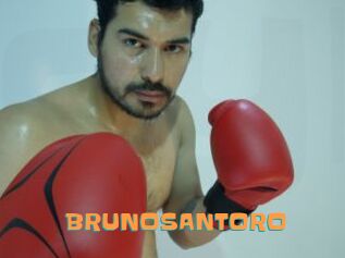 BRUNOSANTORO
