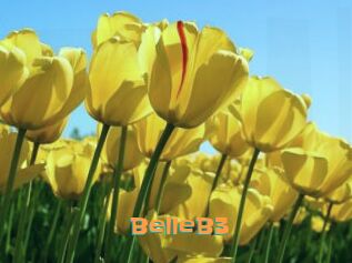BelleB3