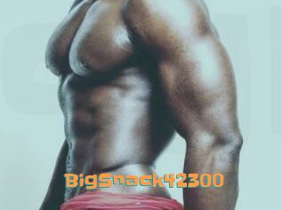 BigSnack42300