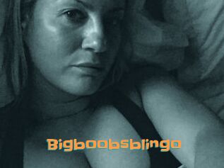 Bigboobsblingo