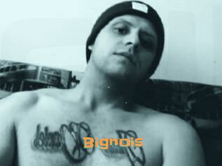 Bignois
