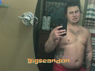 Bigseandon