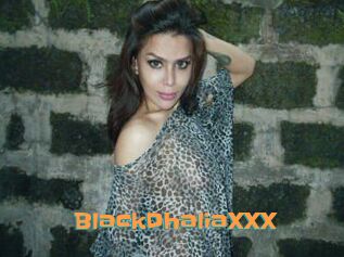 BlackDhaliaXXX
