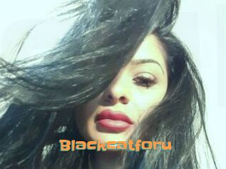Blackcatforu