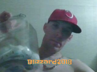 Blizzard2018