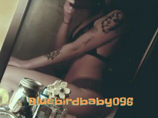 Bluebirdbaby096