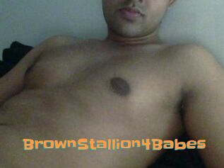 BrownStallion4Babes