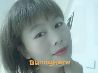 Bunnyhere